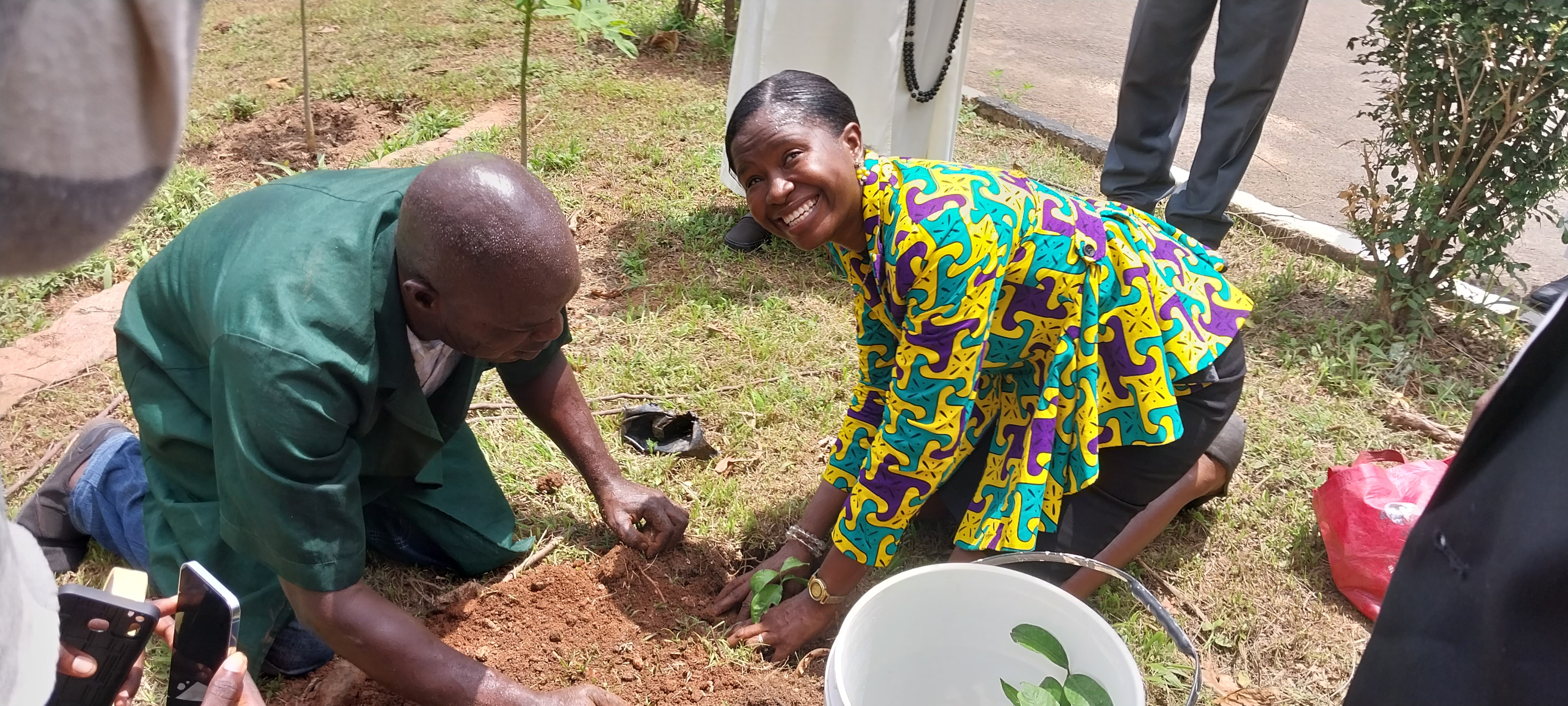 GeoMentor Africa participation pathway